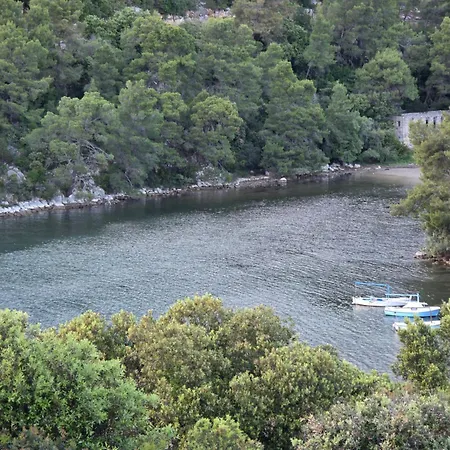 Nano Daire Smokvica (Korcula)
